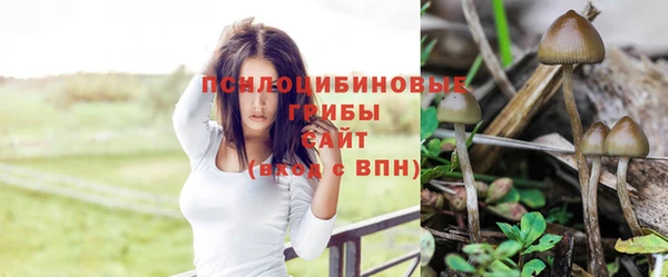 хмурый Вязники