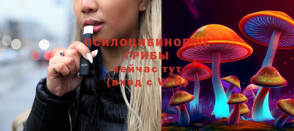 хмурый Вязники