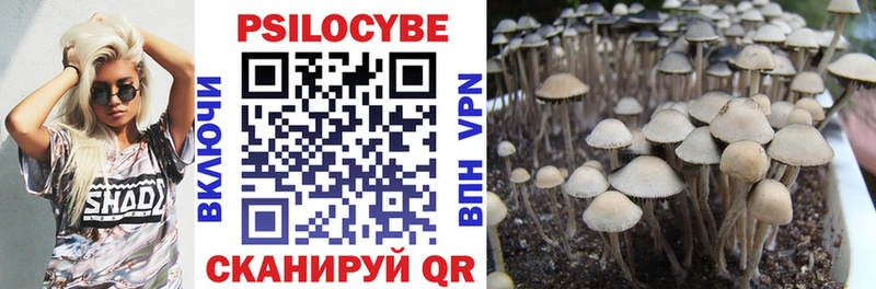 mega сайт  Ирбит  мориарти как зайти  Псилоцибиновые грибы ЛСД 
